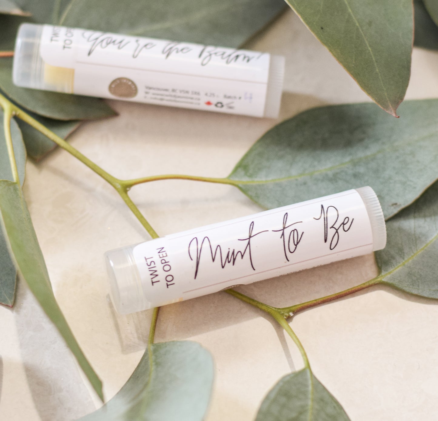 Gift Lip Balm - Abbey Lane Farm 